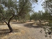 Arkadi Kreta, Asteri: Grundstück mit Meerblick zu verkaufen Grundstück kaufen